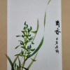 山水花鳥(niǎo)人物